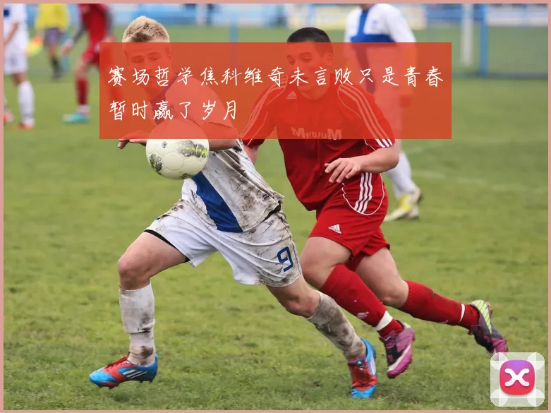 赛场哲学焦科维奇未言败只是青春暂时赢了岁月
