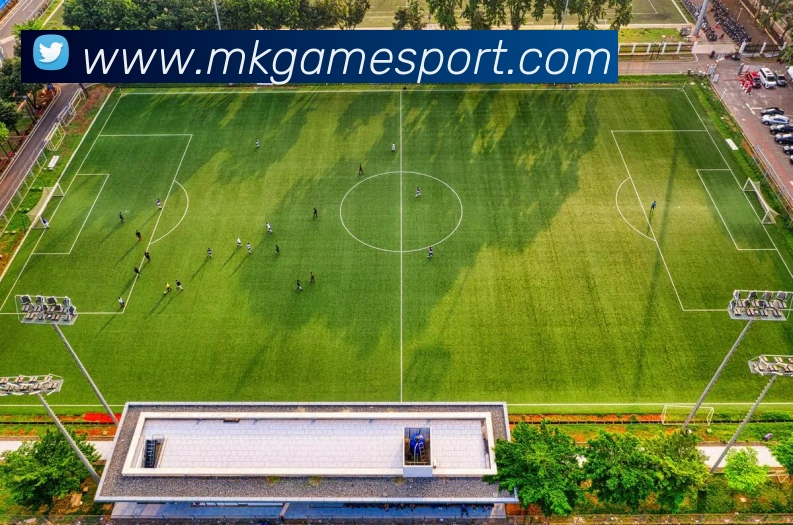 MK体育平台生态图