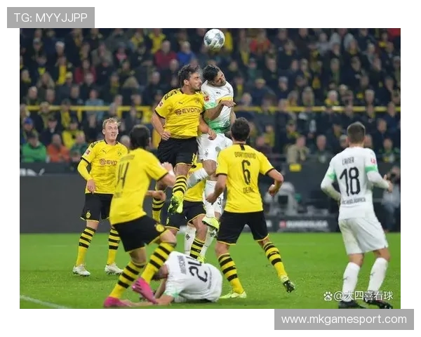 德甲联赛前6名球队主场：德甲联赛前六名球队的主场及战绩分析 (2)